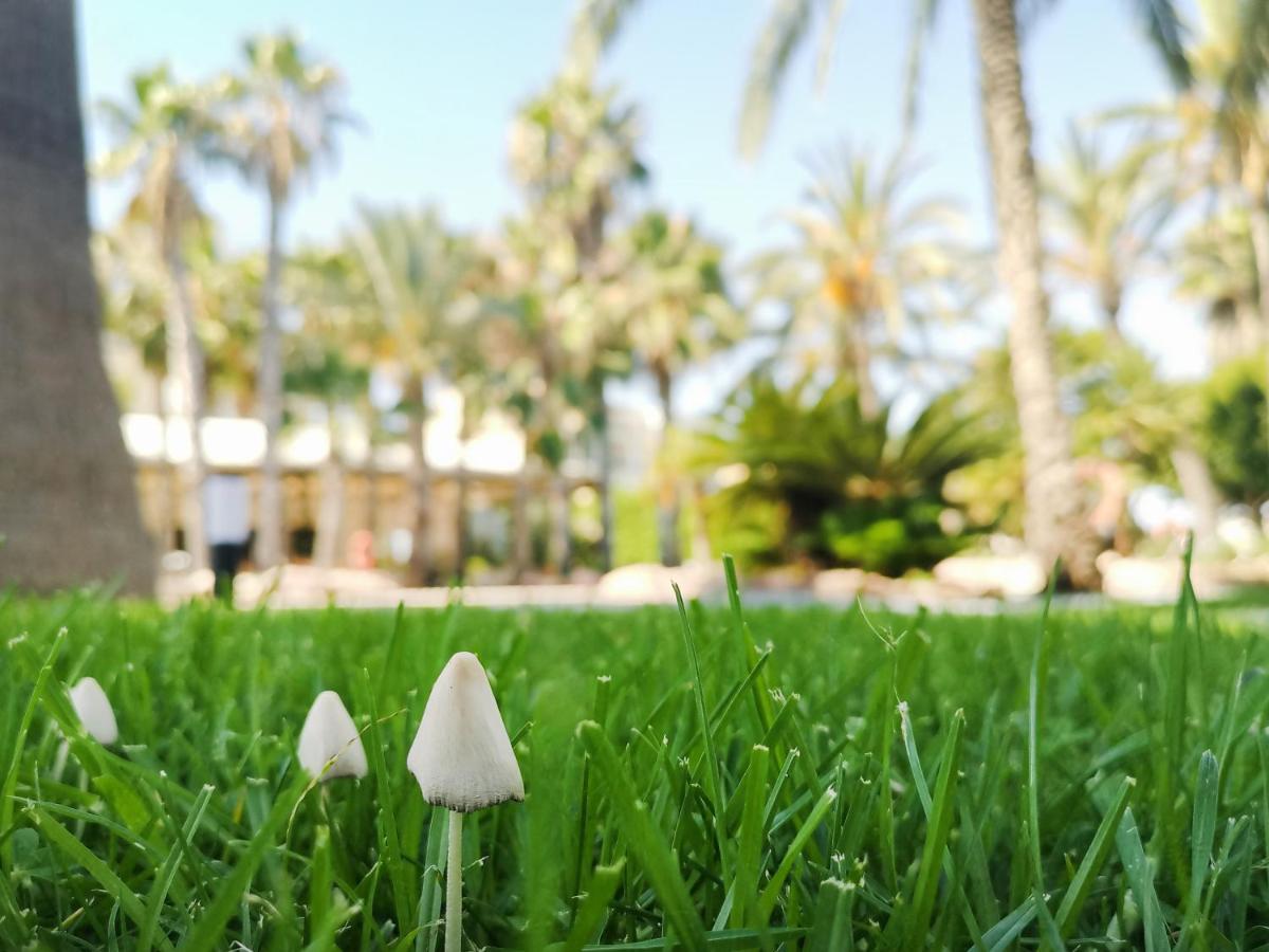 Hotel Alicante Golf Exterior photo